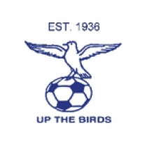 Логотип футбольный клуб Блю Уотерс (Уолфиш-Бей)