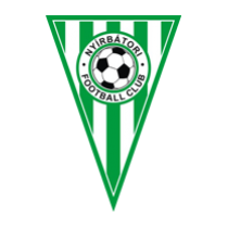 Футбольный клуб Нибатори результаты игр