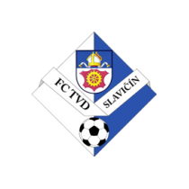 Логотип футбольный клуб Славичин