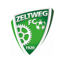 Логотип футбольный клуб Зелтвег