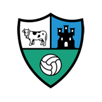 Логотип футбольный клуб Борха