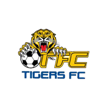 Логотип футбольный клуб Кума Тайгерс (Канберра)