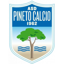 Футбольный клуб Пинето результаты игр