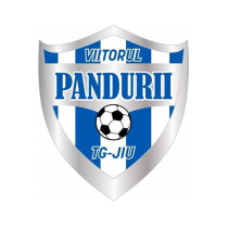 Логотип футбольный клуб Вииторул Тыргу-Жиу (Петрошани)