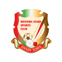 Логотип футбольный клуб Денди Таун Хорнетс (Пембрук)