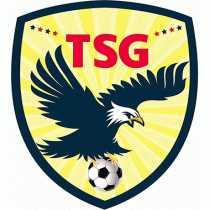 Логотип футбольный клуб Тайнань Сити
