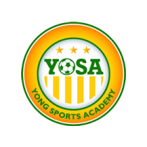 Логотип футбольный клуб Янг Спорт Академи (Баменда)