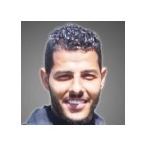 Ахмед Эль Саадани статистика