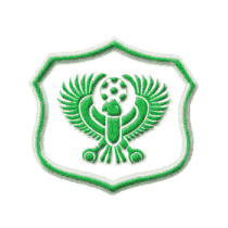 Футбольный клуб Аль-Масри (Порт-Саид) результаты игр
