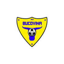Логотип футбольный клуб Буковина Радаут