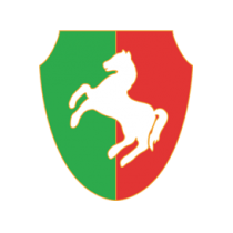 Логотип футбольный клуб Дравинья (Кострой)