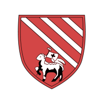 Логотип футбольный клуб Дройлсден