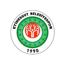 Футбольный клуб Этимесгут (Анкара) результаты игр