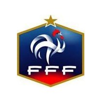 Логотип Франция (до 21)