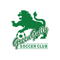 Логотип футбольный клуб Грин Гулли