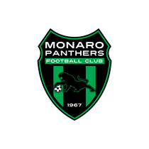 Логотип футбольный клуб Монаро Пантерс (Куинбиан)