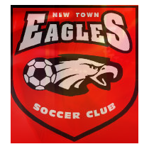 Логотип футбольный клуб Нью Таун Иглз