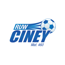 Логотип футбольный клуб Синей