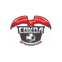 Логотип футбольный клуб Сокол Казань