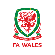 Логотип Уэльс (до 21)
