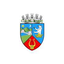 Логотип футбольный клуб Вультури Лугой