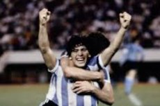 Марадона Марадона