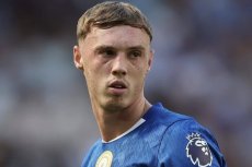 Палмер Коул