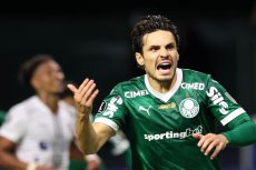 Палмейрас Палмейрас