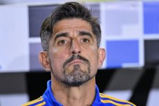 Паунович Паунович