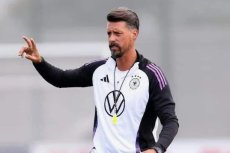 Вагнер Сандро