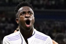 Винисиус Винисиус